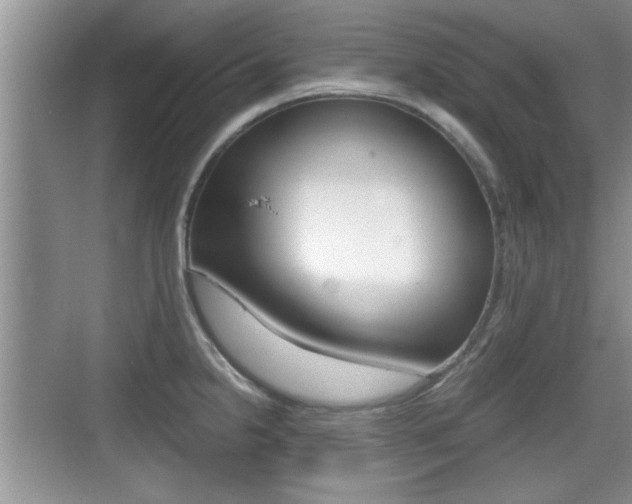 X0000076071238200609220945