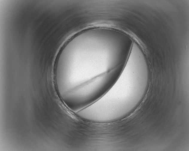 X0000076071240200609220945