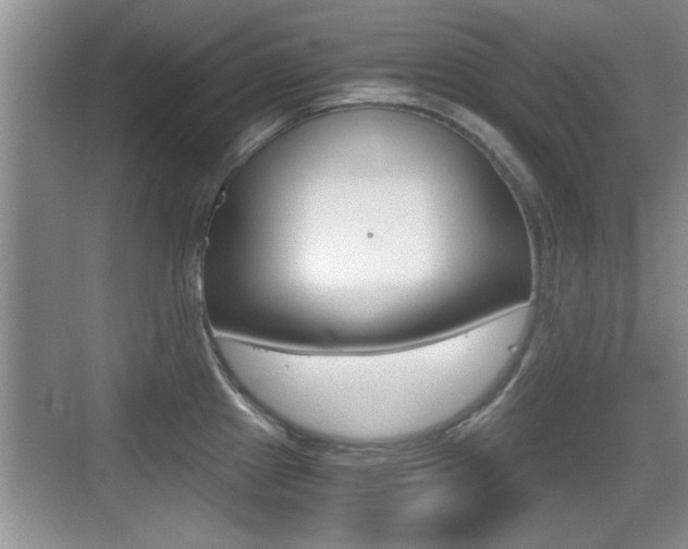 X0000076071241200609220945