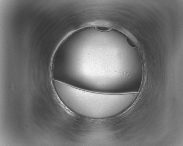 X0000076071248200609220945
