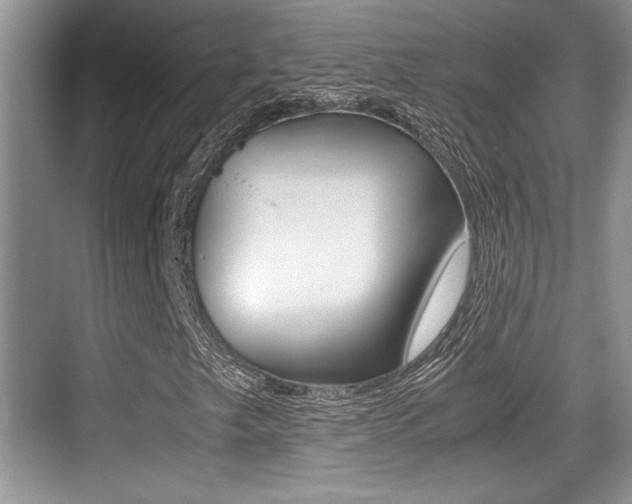 X0000076071249200609220944