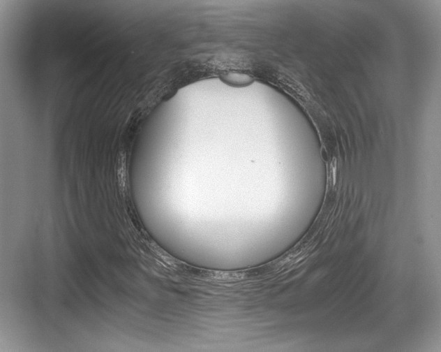 X0000076071251200609220944