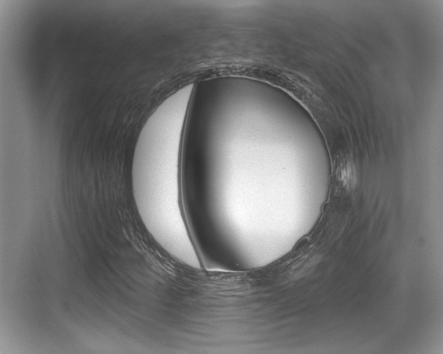 X0000076071252200609220944