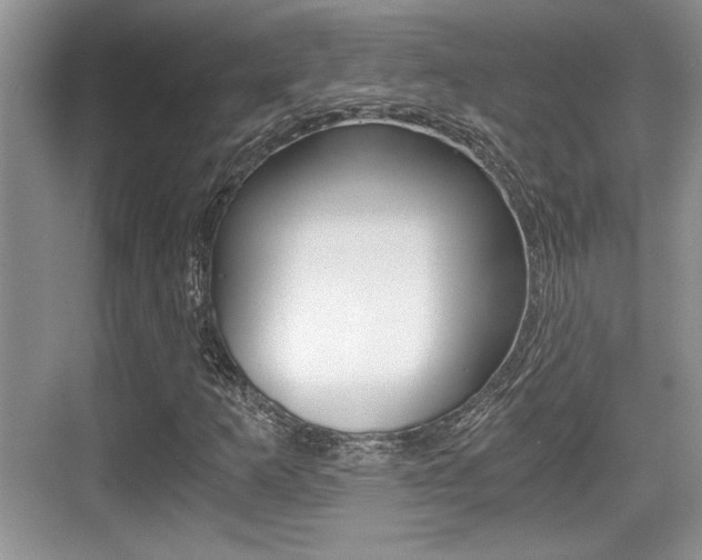 X0000076071253200609220944