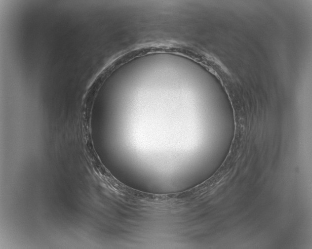 X0000076071256200609220944