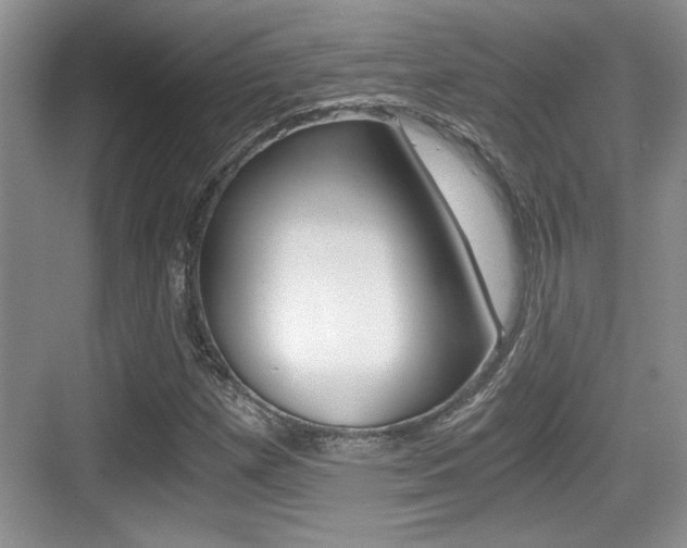 X0000076071257200609220944