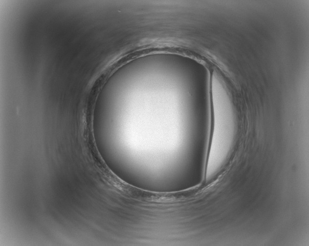 X0000076071261200609220944