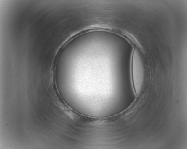 X0000076071268200609220944