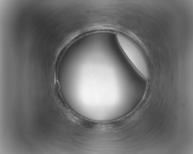 X0000076071269200609220944