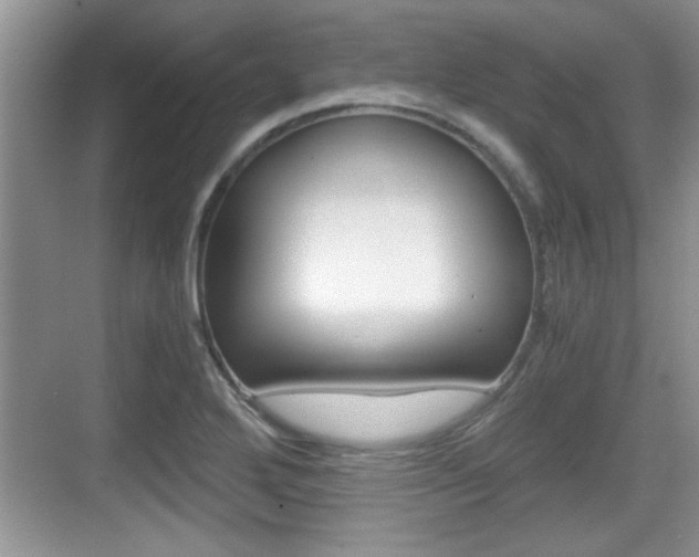 X0000076071272200609220944