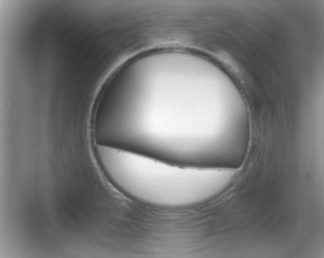 X0000076071279200609220944