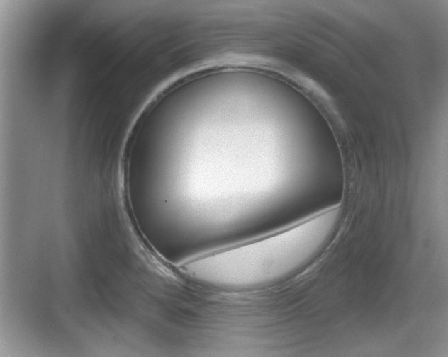 X0000076071280200609220944