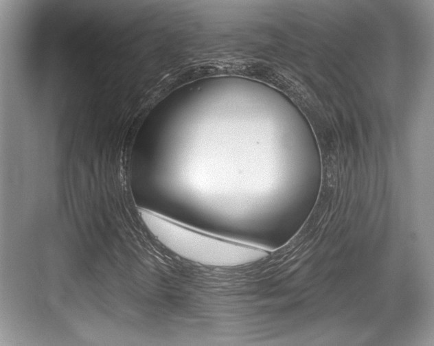 X0000076071298200609220943
