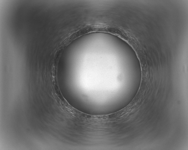 X0000076071301200609220943