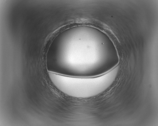 X0000076071304200609220943