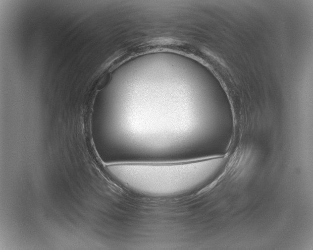 X0000076071305200609220943