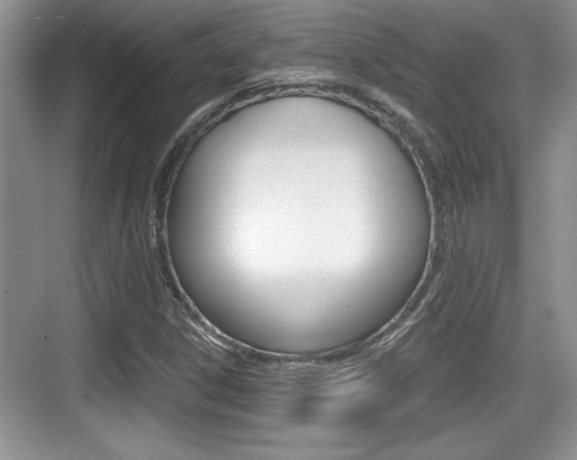 X0000076071306200609220943