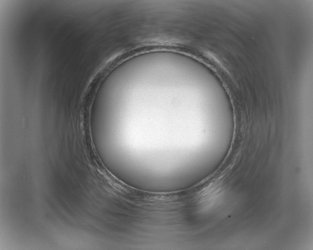 X0000076071307200609220943
