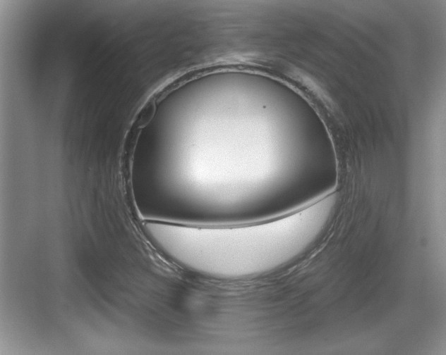 X0000076071308200609220943