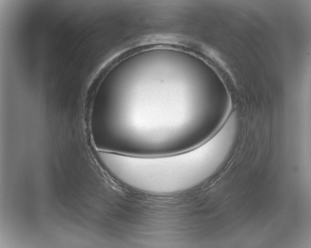 X0000076071312200609220943