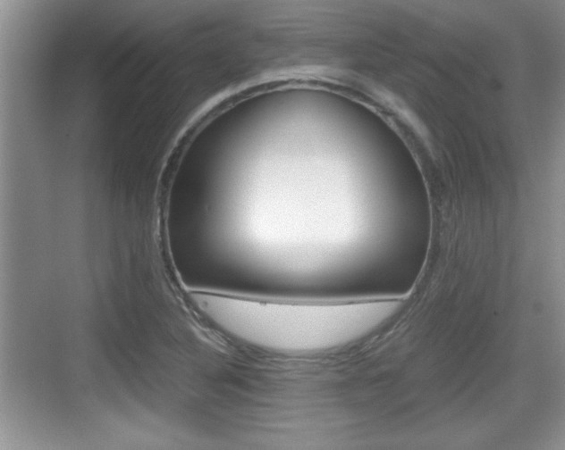 X0000076071316200609220943