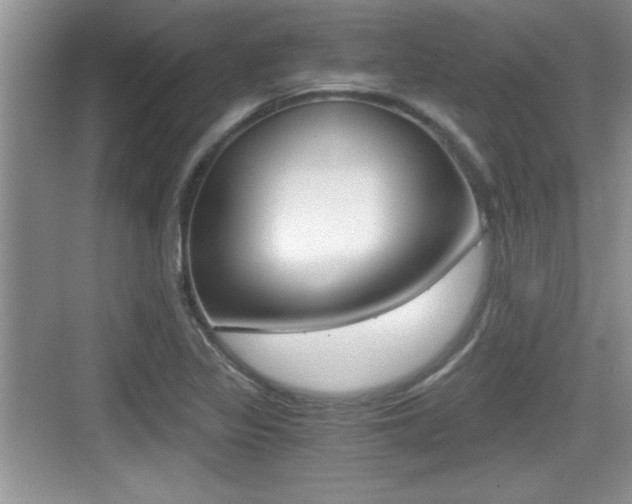 X0000076071317200609220943