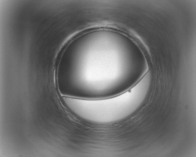 X0000076071320200609220943