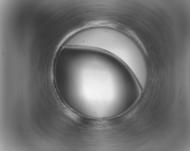 X0000076071328200609220943