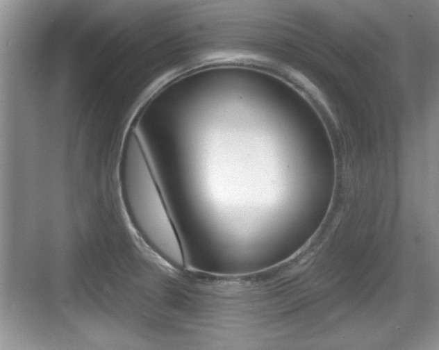X0000076071330200609220943