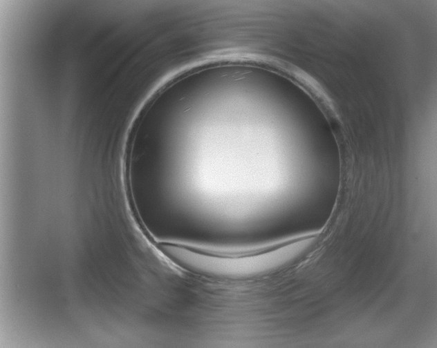 X0000076071334200609220943