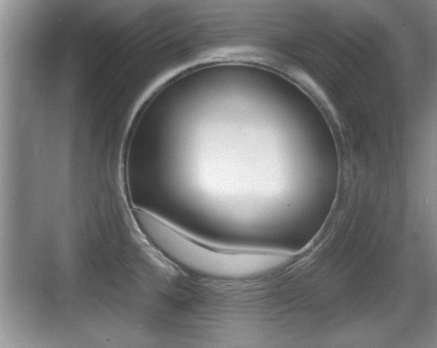 X0000076071336200609220943