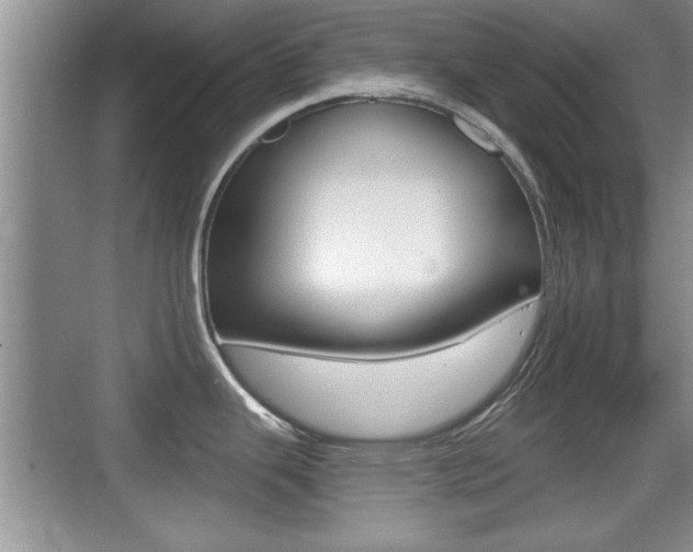 X0000076071343200609220943