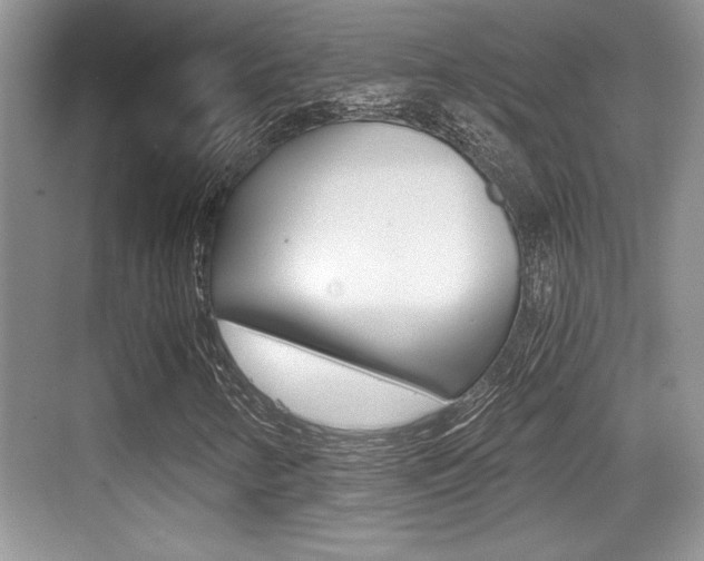 X0000076071346200609220943