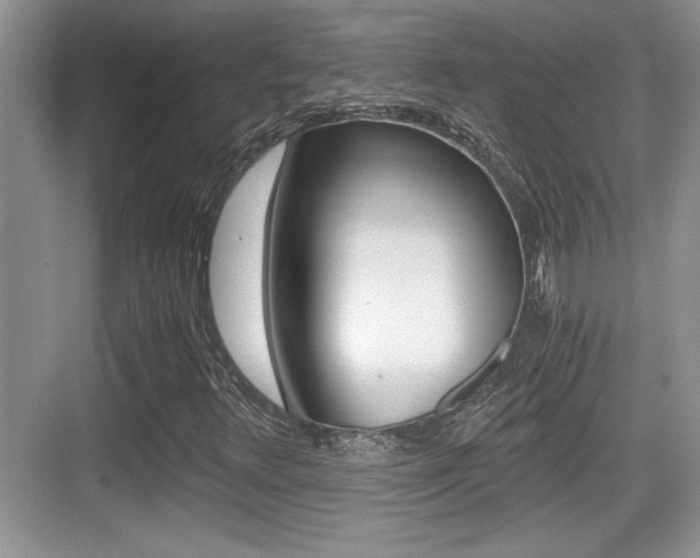 X0000076071348200609220943