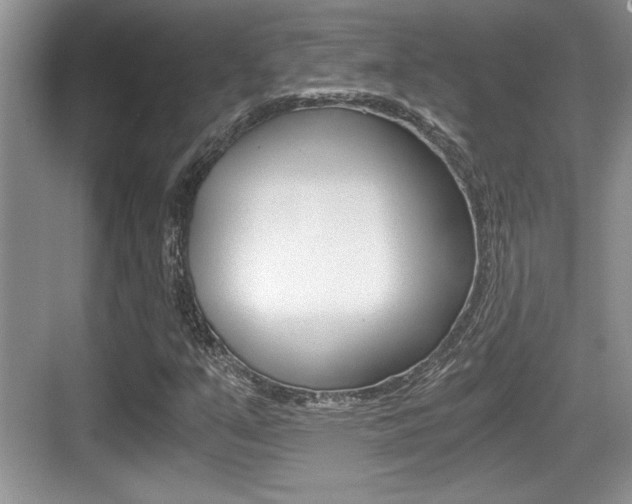 X0000076071351200609220943