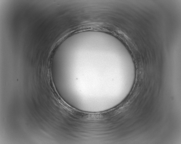 X0000076071354200609220942