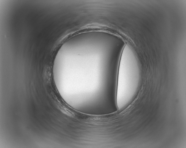 X0000076071355200609220942