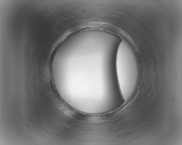 X0000076071362200609220942