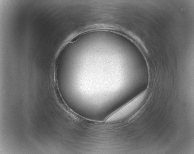 X0000076071365200609220942