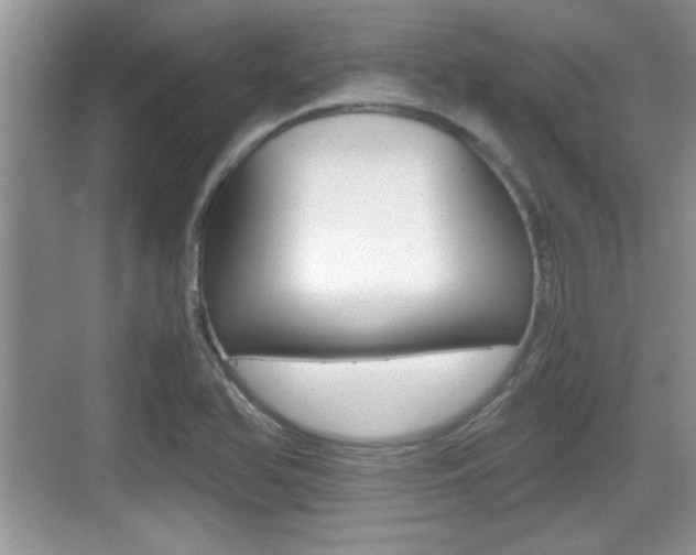 X0000076071366200609220942