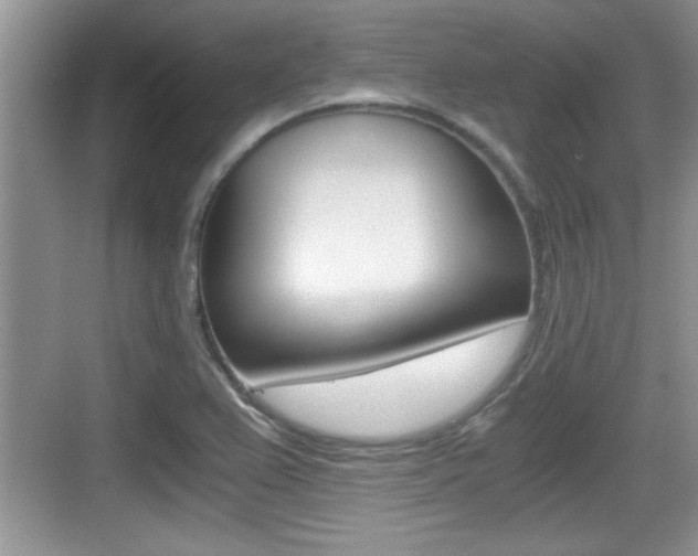 X0000076071367200609220942