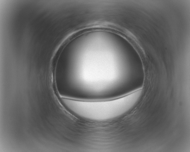 X0000076071368200609220942