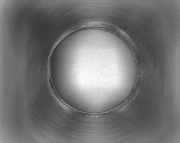 X0000076071370200609220942