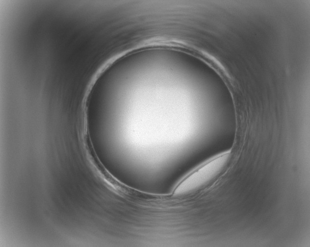 X0000076071371200609220942