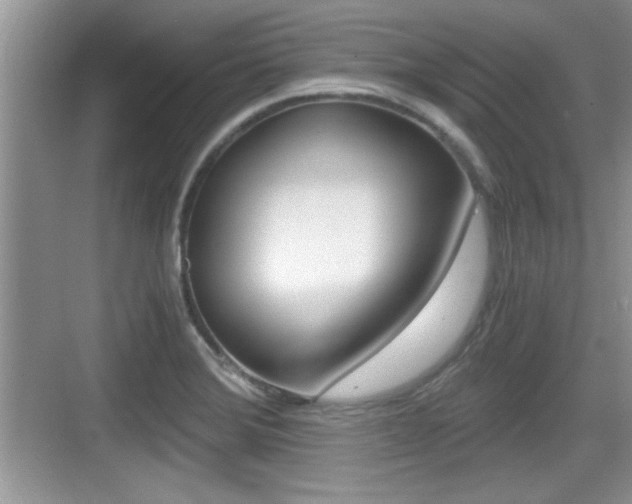 X0000076071372200609220942