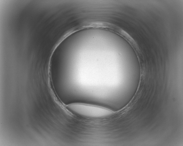 X0000076071378200609220942