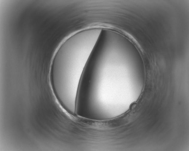 X0000076071379200609220942