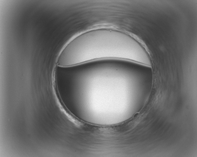 X0000076071383200609220942