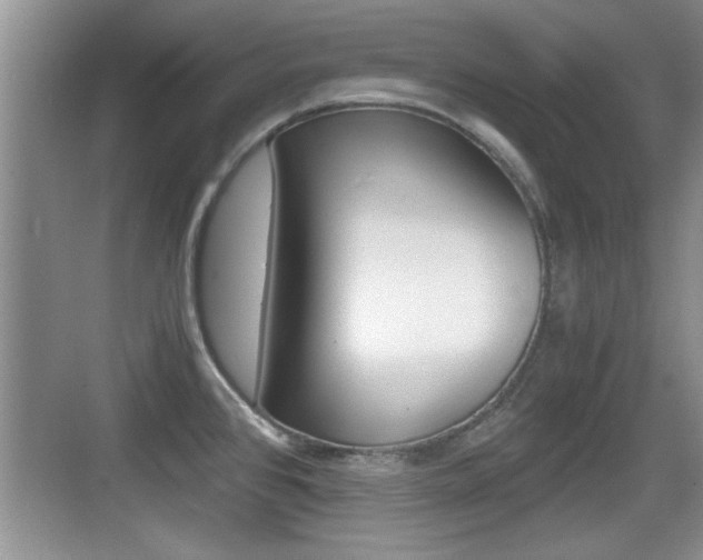 X0000076071384200609220942
