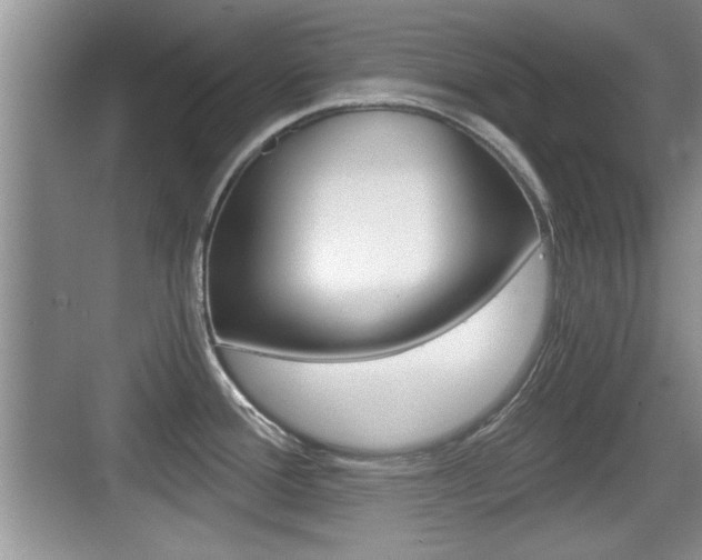 X0000076071388200609220942